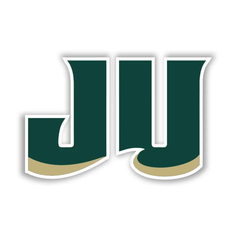 Jacksonville Dolphins - Iron On DTF Transfer - Custom Size