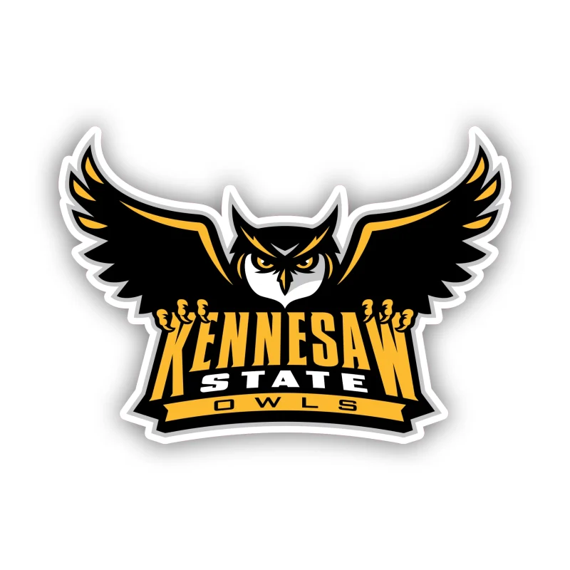 Kennesaw State Owls - Iron On DTF Transfer - Custom Size