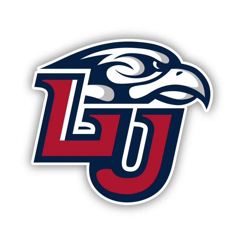 Liberty Flames - LU - Iron On DTF Transfer - Custom Size
