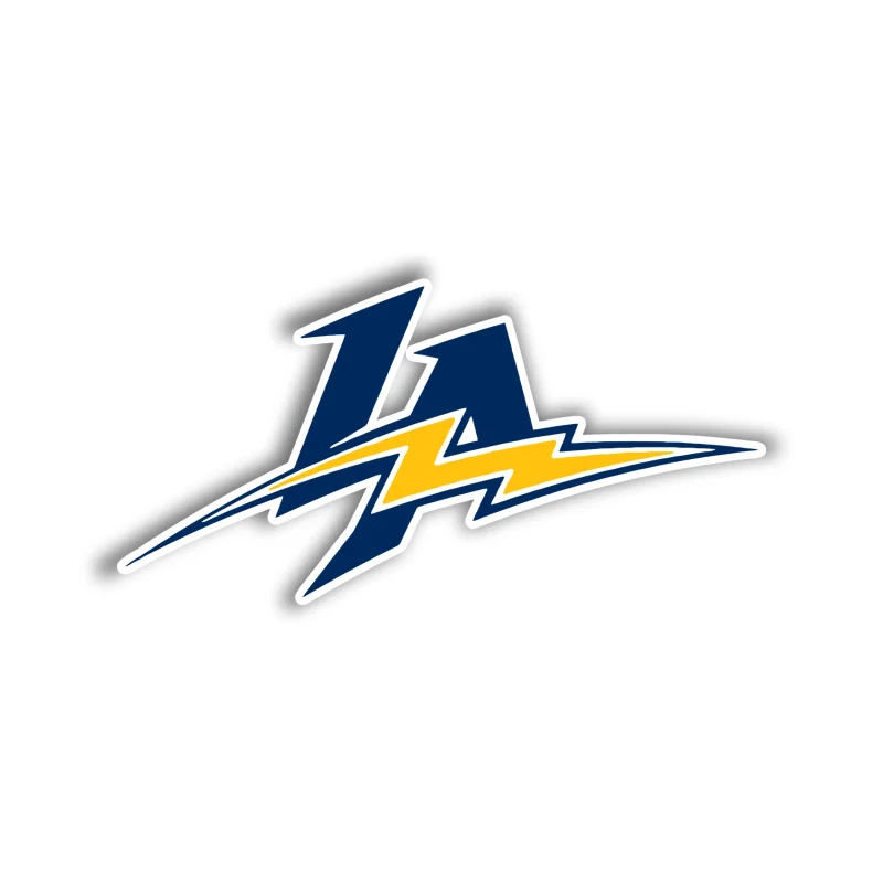 Los Angeles Chargers - Dark LA - Iron On DTF Transfer - Custom Size