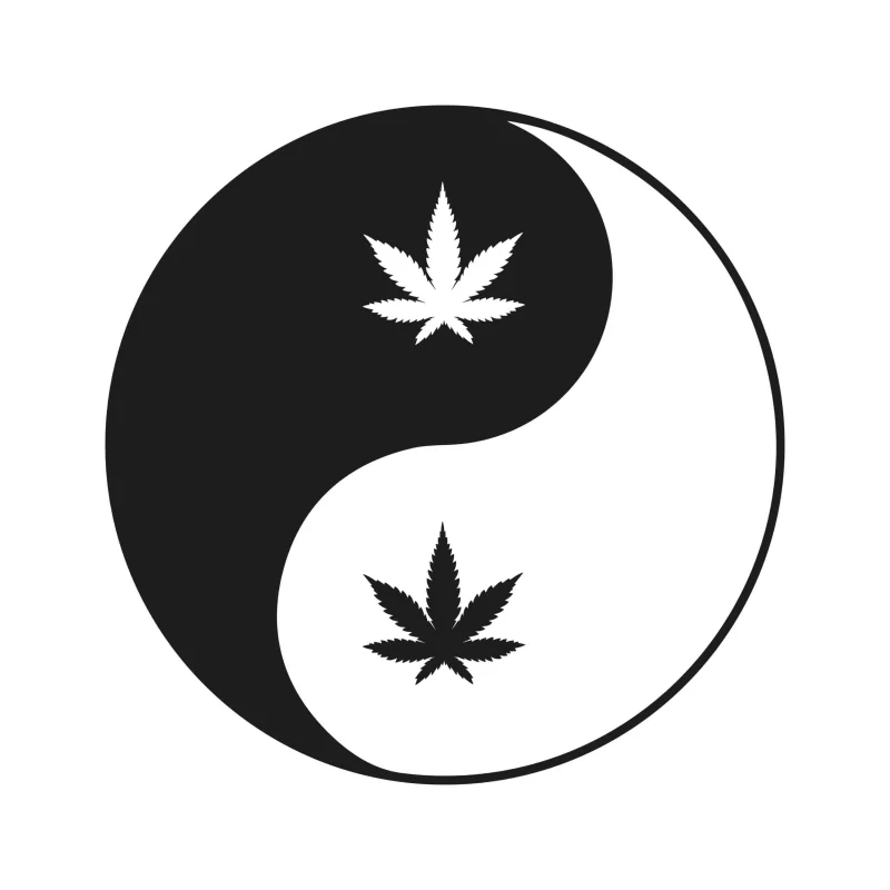 MARIJUANA LEAF - Iron On DTF Transfer - Custom Size