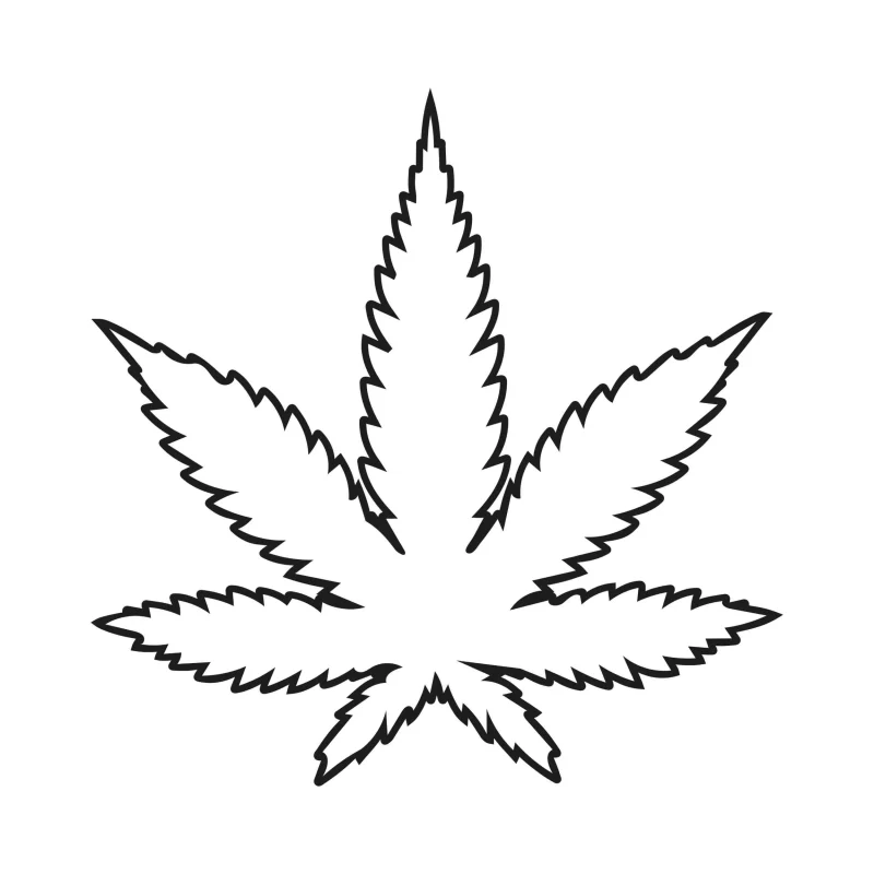 MARIJUANA LEAF - Iron On DTF Transfer - Custom Size
