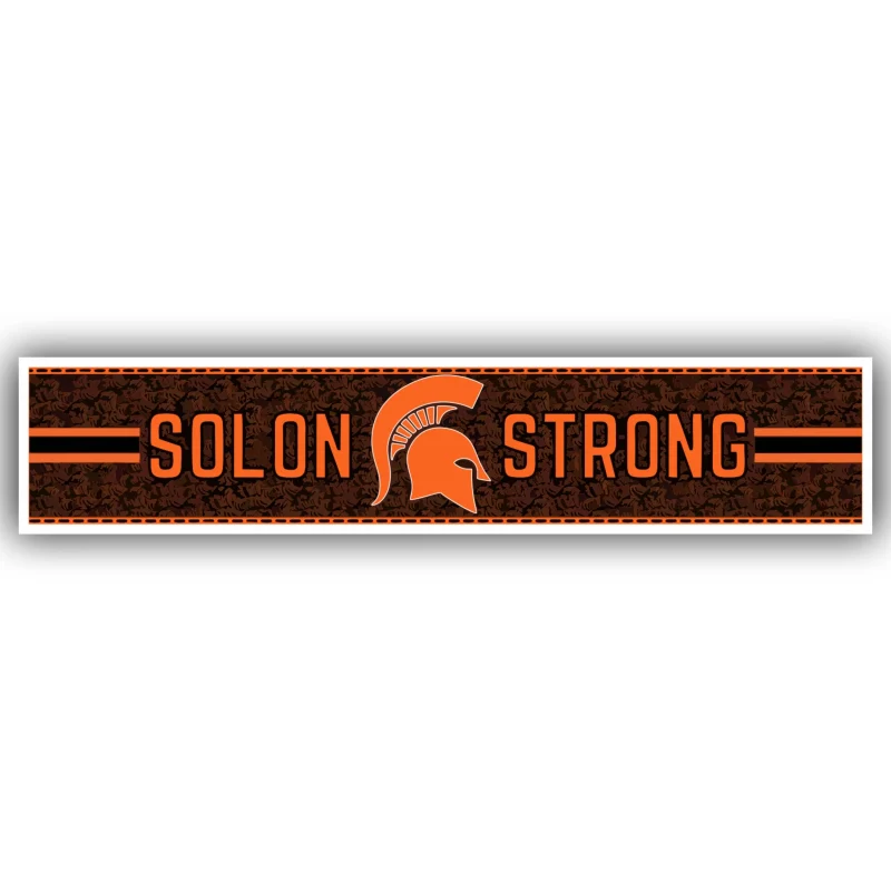 Michigan State Spartans Full Color Vinyl Decal - Custom Size