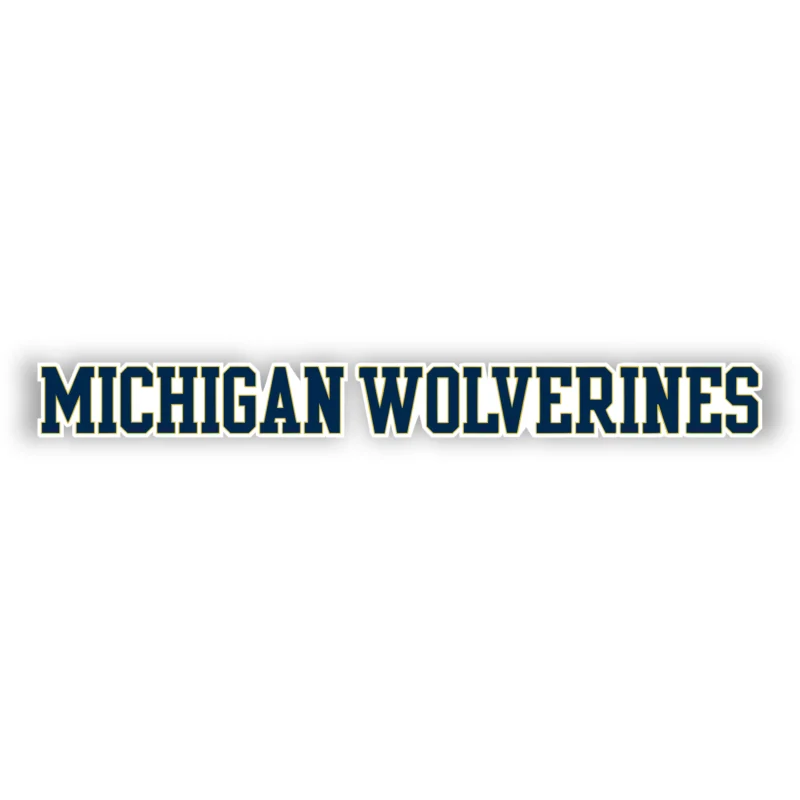 Michigan Wolverines - Blue Lettering - Iron On DTF Transfer - Custom Size