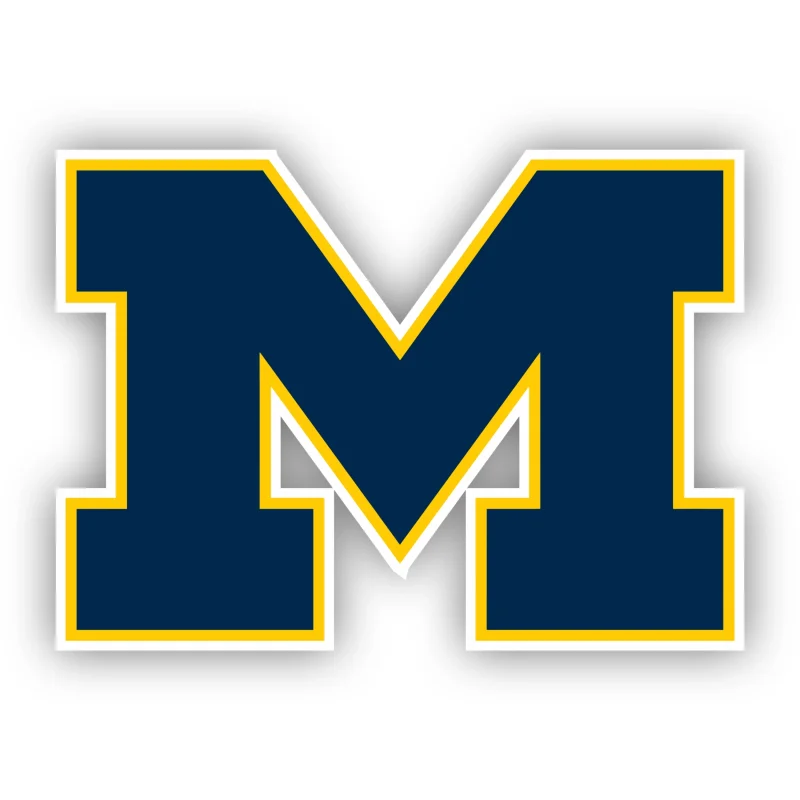 Michigan Wolverines - Blue M - Iron On DTF Transfer - Custom Size