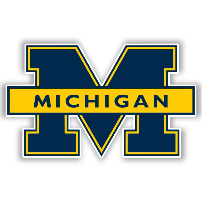 Michigan Wolverines - Blue M with Lettering - Iron On DTF Transfer - Custom Size