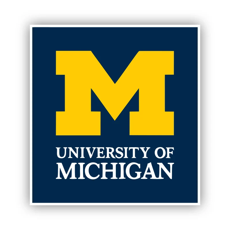 Michigan Wolverines - Blue with Yellow M - Iron On DTF Transfer - Custom Size