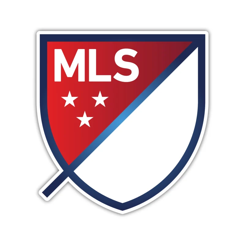 MLS - Logo - Iron On DTF Transfer - Custom Size