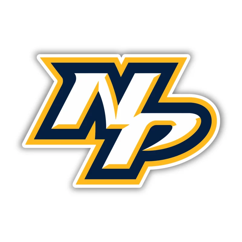 Nashville Predators - NP - Iron On DTF Transfer - Custom Size