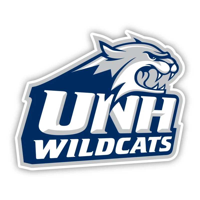 New Hampshire Wildcats - Iron On DTF Transfer - Custom Size