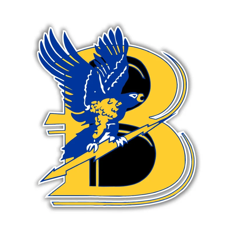 Bentley Falcons Vinyl Decal - Custom Size