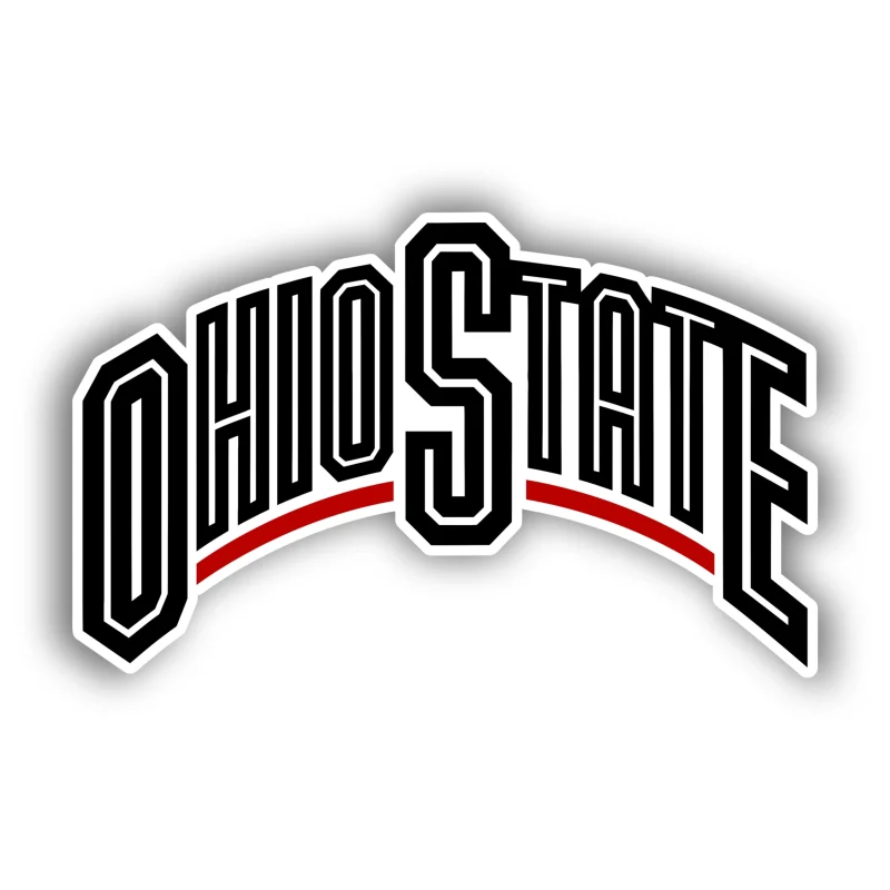 Ohio State Buckeyes - Black Lettering - Iron On DTF Transfer - Custom Size