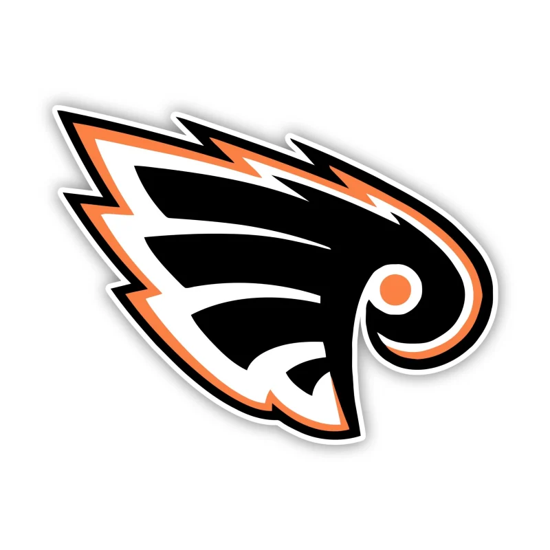 Philadelphia Flyers - Iron On DTF Transfer - Custom Size