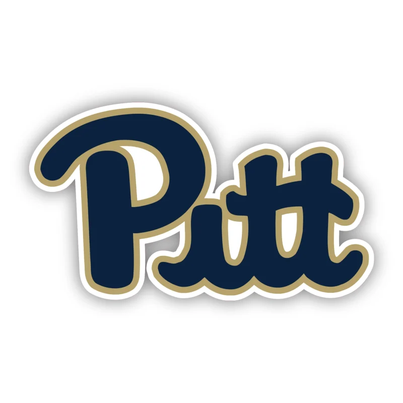 Pittsburgh Panthers - Iron On DTF Transfer - Custom Size