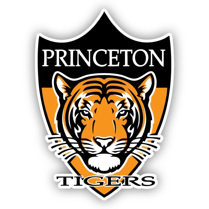 Princeton Tigers - Iron On DTF Transfer - Custom Size