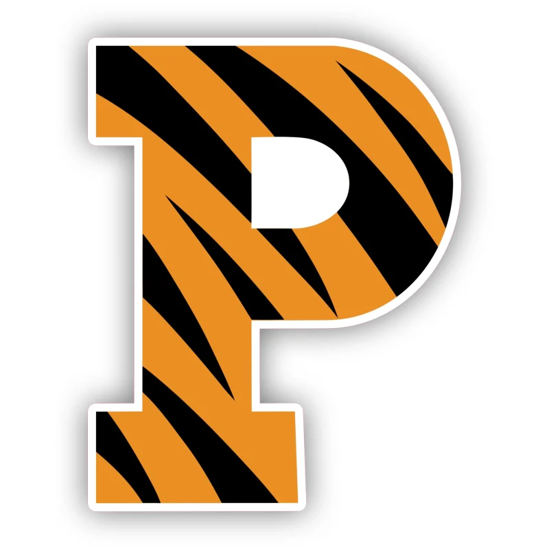 Princeton Tigers - Tiger Print P - Iron On DTF Transfer - Custom Size