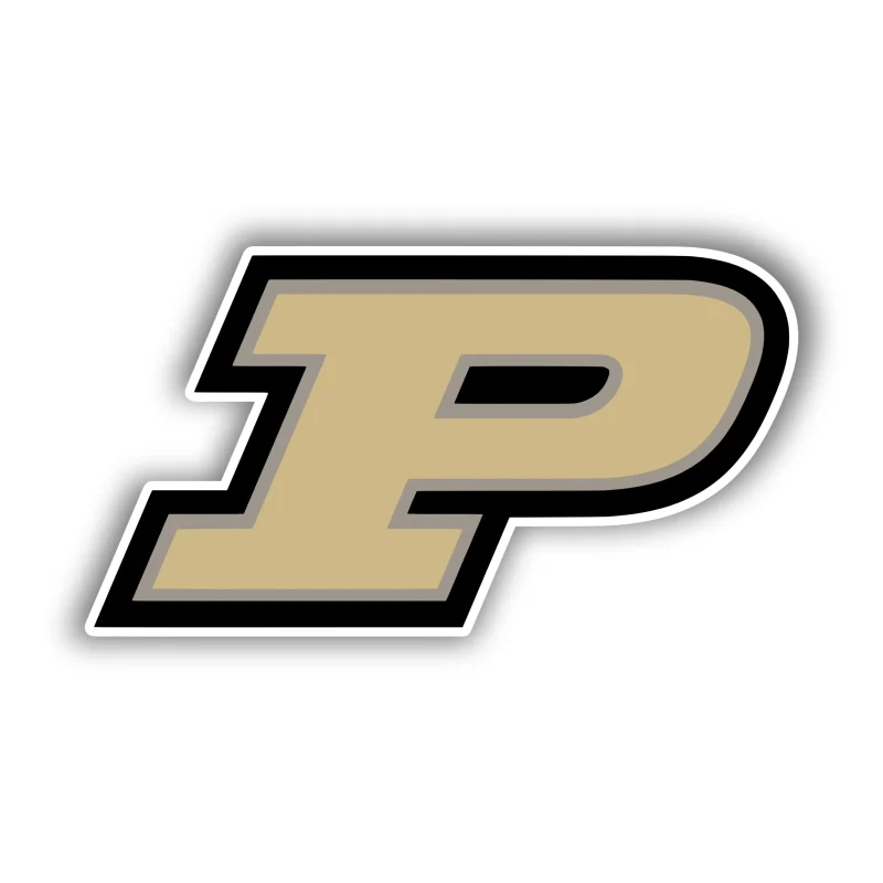Purdue Boilermakers - P - Iron On DTF Transfer - Custom Size