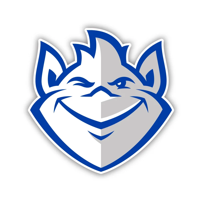 Saint Louis Billikens - Iron On DTF Transfer - Custom Size