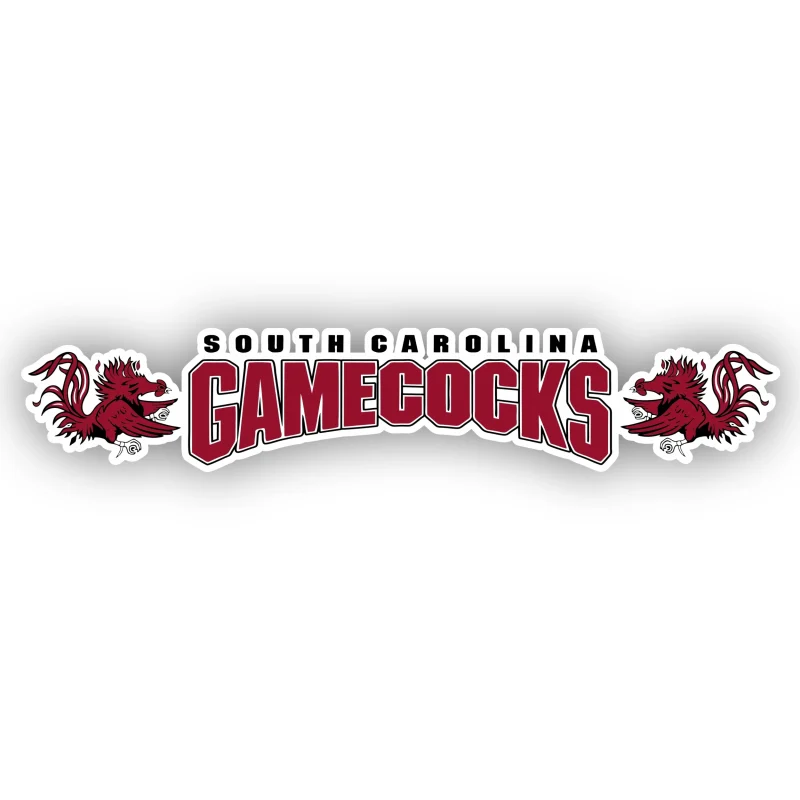 South Carolina Gamecocks - Name with Rooster- Iron On - Custom Size
