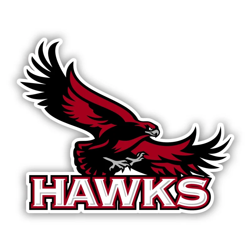 St. Joseph's Hawks - Iron On DTF Transfer - Custom Size