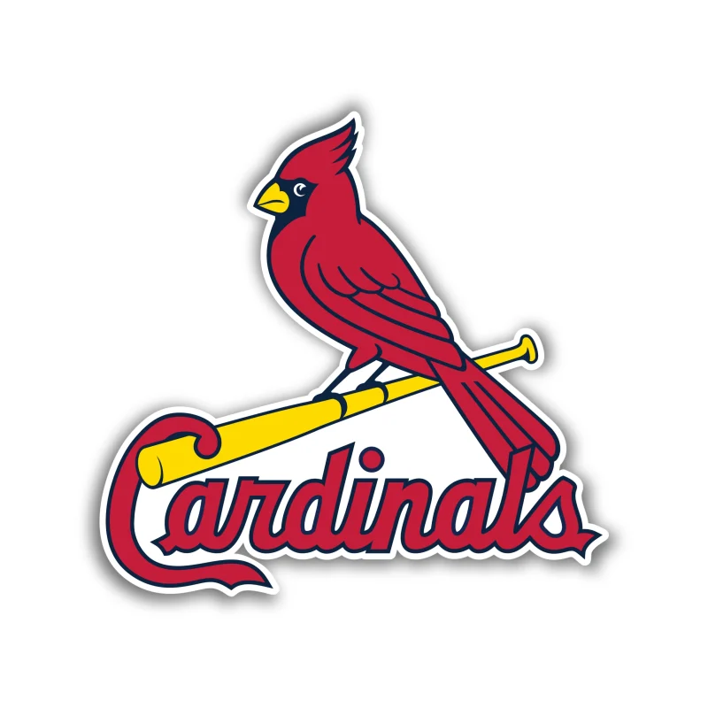 St. Louis Cardinals - Bird with Cardinals - Iron On DTF Transfer - Custom Size