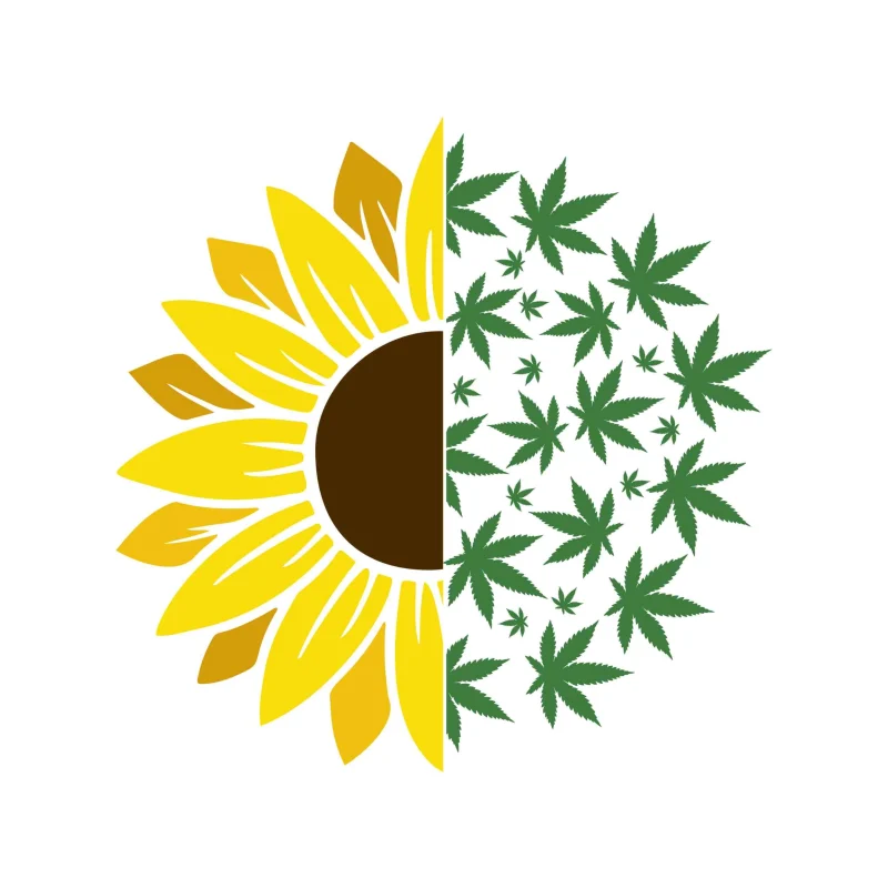 SUNFLOWER AND MARIJUANA LEAF - Iron On DTF Transfer - Custom Size