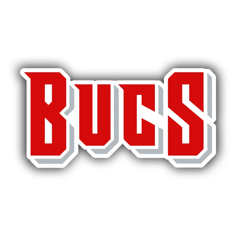 Tampa Bay Buccaneers - Bucs - Iron On DTF Transfer - Custom Size