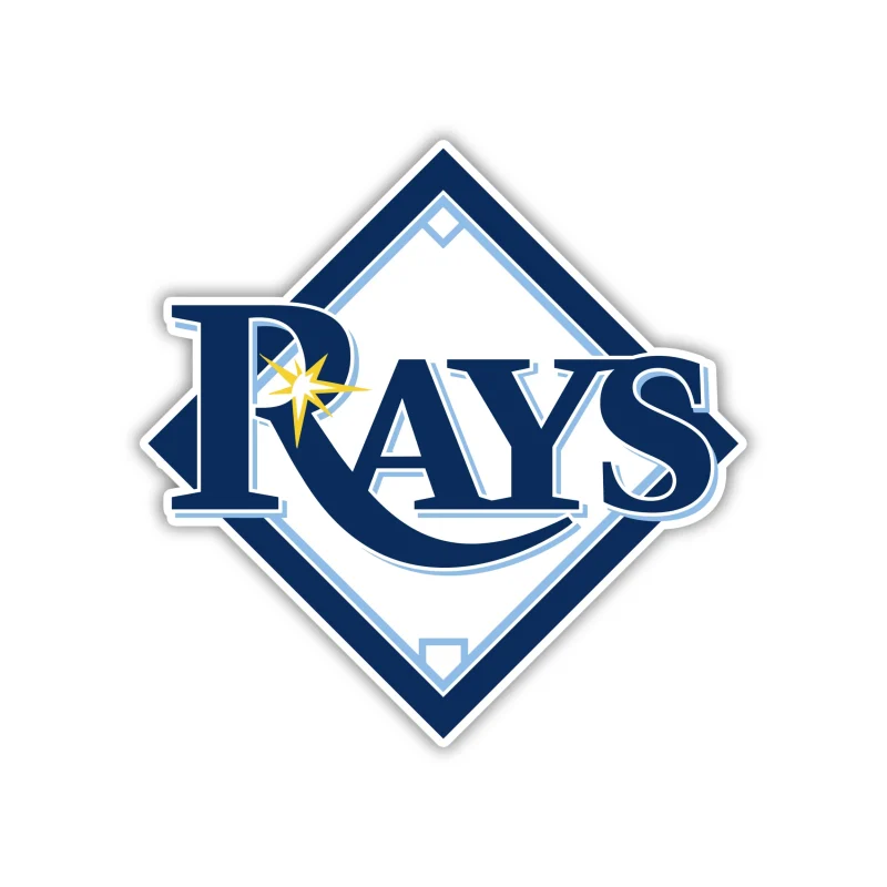 Tampa Bay Rays - Plate with Rays - Iron On DTF Transfer - Custom Size