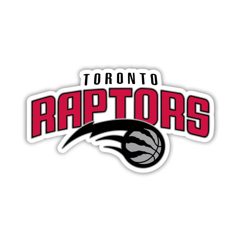 Toronto Raptors - Name With Gray Basketball - Iron On DTF Transfer - Custom Size