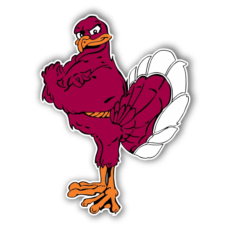 Virginia Tech - Hokiebird - Iron On DTF Transfer - Custom Size