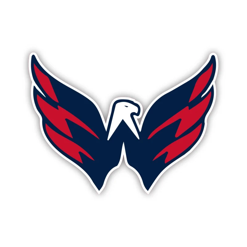 Washington Capitals - Bird - Iron On DTF Transfer - Custom Size