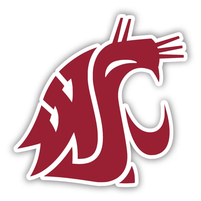 Washington State Cougars - Iron On DTF Transfer - Custom Size