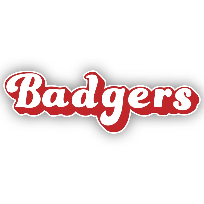 Wisconsin Badgers - White and Red Lettering - Iron On DTF Transfer - Custom Size