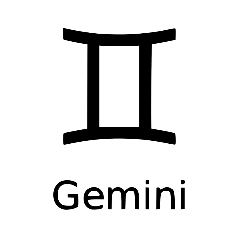 Zodiac Signs - Gemini - Vinyl Decal - Custom Size