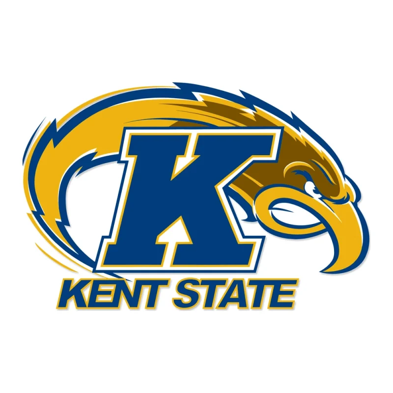 KENT STATE - Iron On DTF Transfer - Custom Size