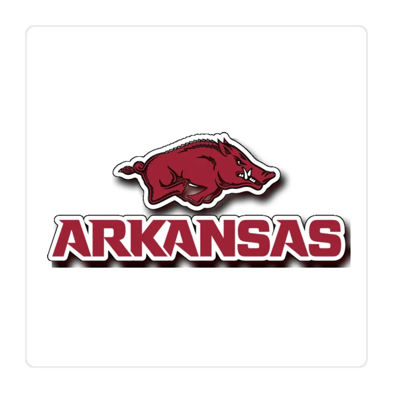 Arkansas Razorbacks Full Color Vinyl Decal - Custom Size