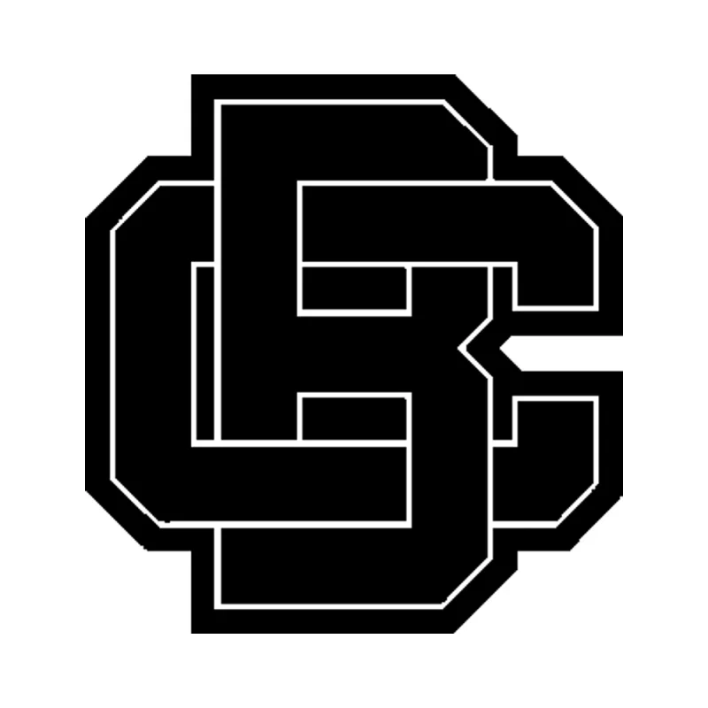 Bethune Cookman Wildcats Vinyl Decal - Custom Size