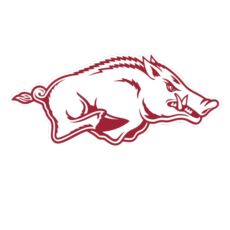 Arkansas Razorbacks - Image 21 - Full Color Vinyl Decal - Custom Size