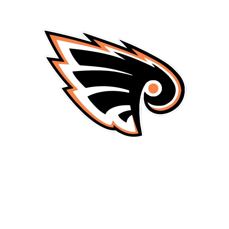 Philadelphia Flyers - Image 1 - Full Color Vinyl Sticker - Custom Size