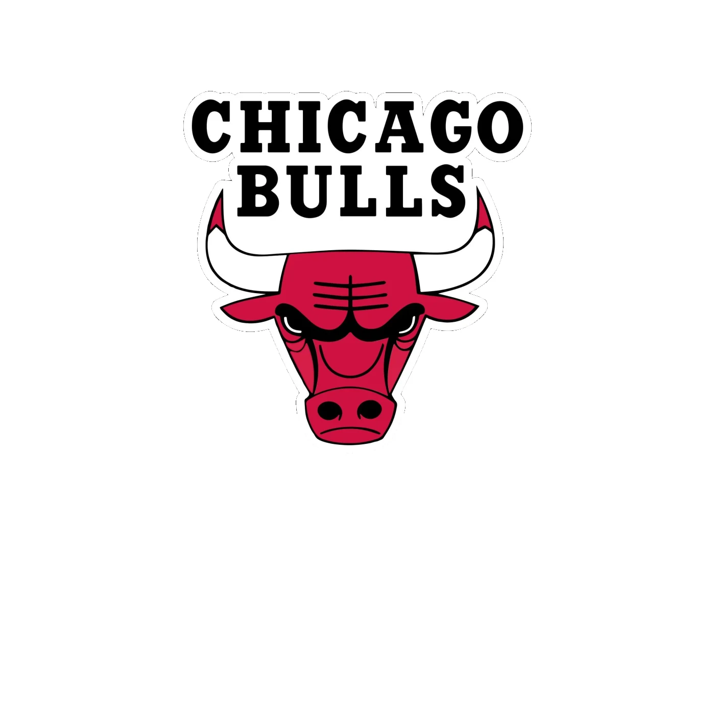 Chicago Bulls - Bull Head With Name - Full Color Vinyl Sticker - Custom Size