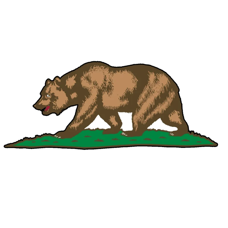 California Bear Full Color Vinyl Decal