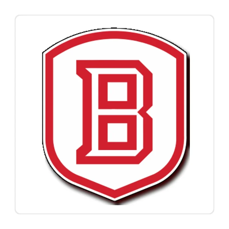 Bradley Braves Full Color Vinyl Decal - Custom Size
