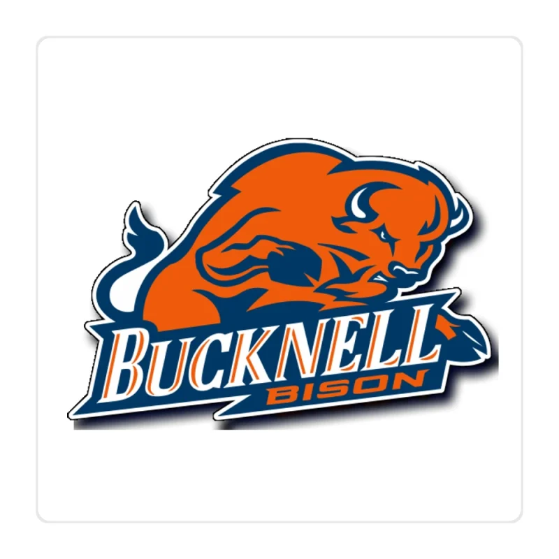 Bucknell Bison Full Color Vinyl Decal - Custom Size