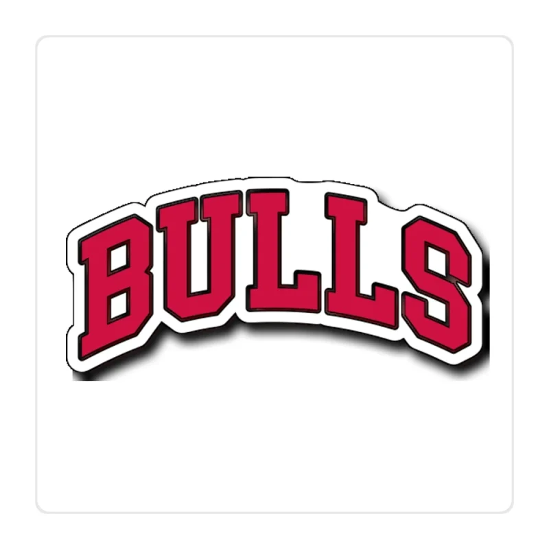 Chicago Bulls - Bulls - Full Color Vinyl Sticker - Custom Size