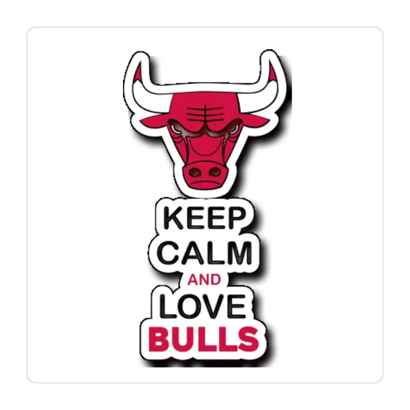 Chicago Bulls - Keep Calm And Love Bulls - Full Color Vinyl Sticker - Custom Size