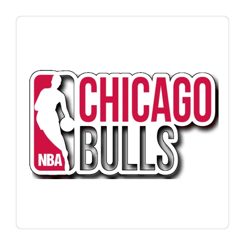 Chicago Bulls - NBA Logo With Name - Full Color Vinyl Sticker - Custom Size