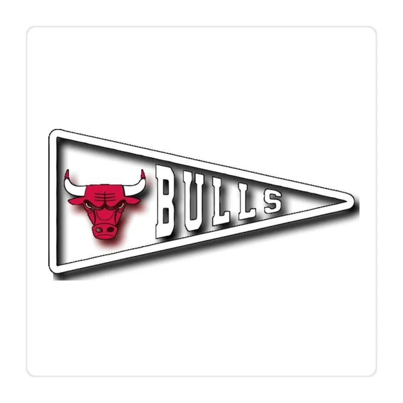 Chicago Bulls - Pennant - Full Color Vinyl Sticker - Custom Size