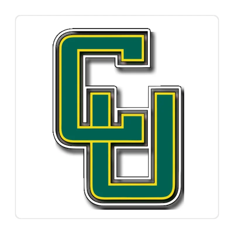 Clarkson Golden Knights Full Color Vinyl Decal - Custom Size