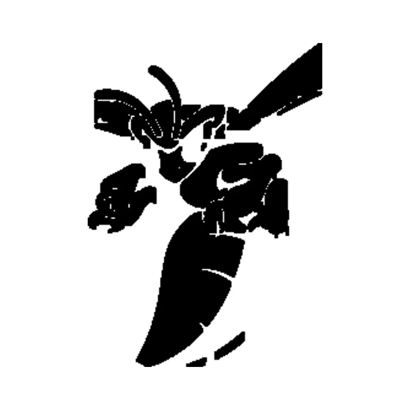 Delaware State Hornets Vinyl Decal - Custom Size