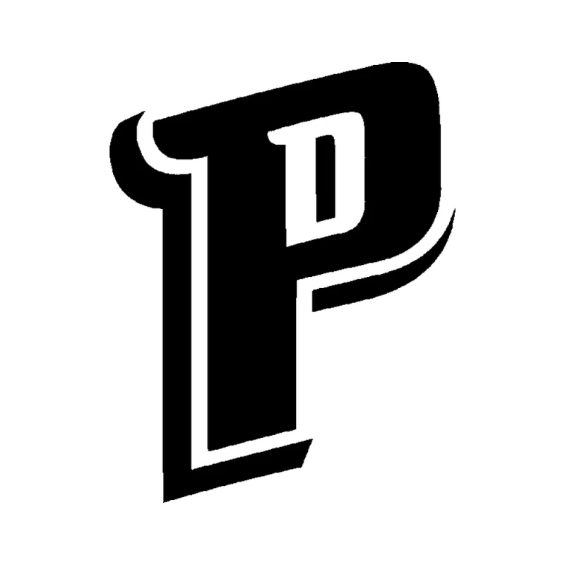 Detroit Pistons - Design 2 - Die Cut Vinyl Decal - Custom Size
